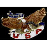 USA EAGLE DO NOT MESS WITH THE USA HAT PIN
